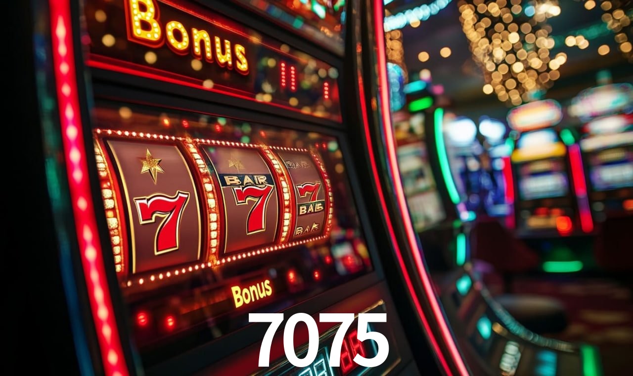 7075 bet — painel ao vivo com cotações dinâmicas